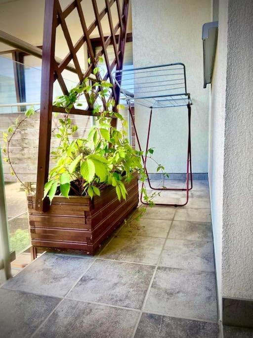 Apartament Grzegorzecka Centrum Красков Екстериор снимка